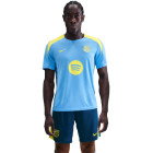 $tmpl_modelinfo[183,"M"]