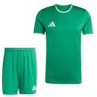 adidas Entrada 26 Voetbaltenue Groen Wit