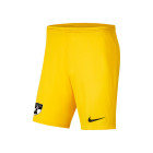 SV Terheijden Keepershort Senior Geel