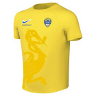 ZVV Zwaag Thuisshirt Junior Geel (blanco)