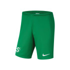 SPV'81 Senior Green Training Shorts