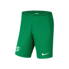 SPV'81 Junior Green Training Shorts