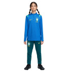 Nike Brazil Academy Pro 1/4-Zip Tracksuit 2026-2028 Kids Blue Green Yellow