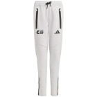 ZFT Casual Pant Grijs