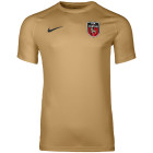 DTA Uitshirt Kids Goud