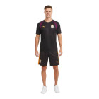 PUMA Galatasaray SK Training Set 2026-2027 Dark Grey Red