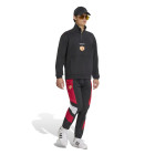 $tmpl_modelinfo[185,"M"]
