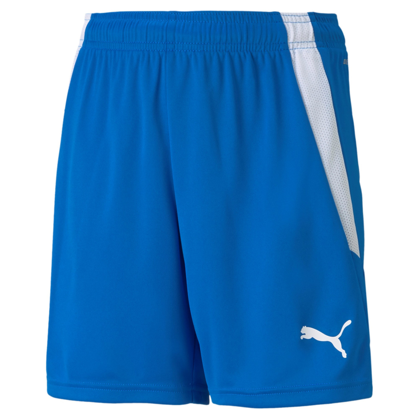 PUMA TeamLiga Kids Football Shorts Blue White