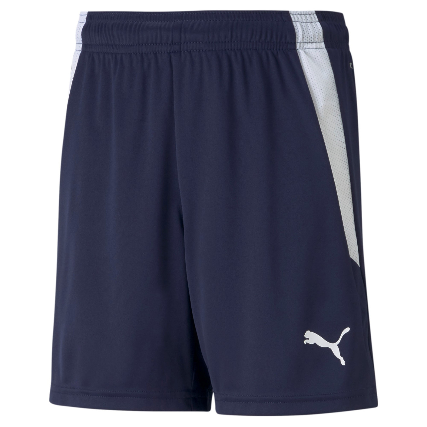 PUMA TeamLiga Kids Football Shorts Dark Blue White