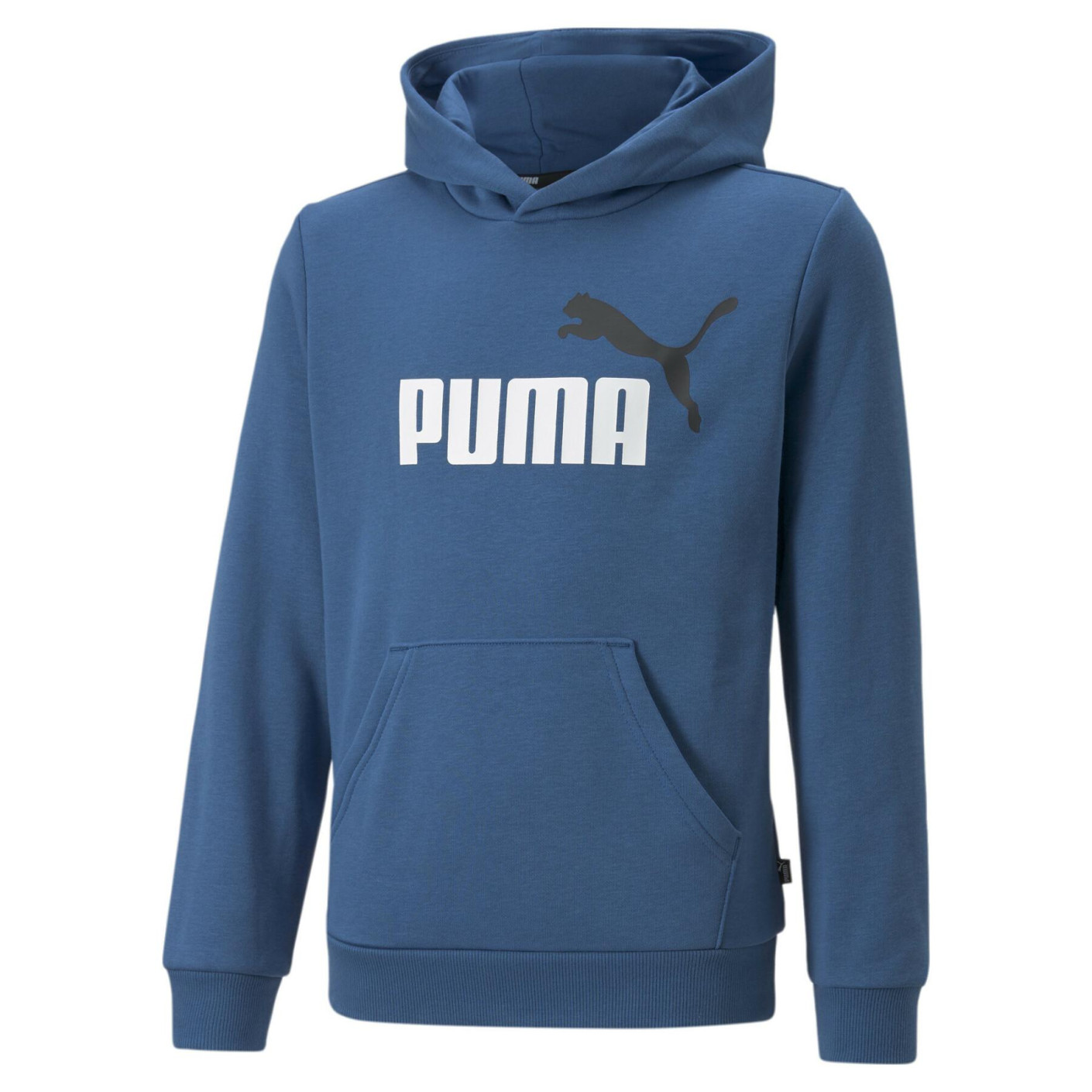 PUMA Essentials+ 2 College Big Logo Fleece Hoodie Kids Blauw