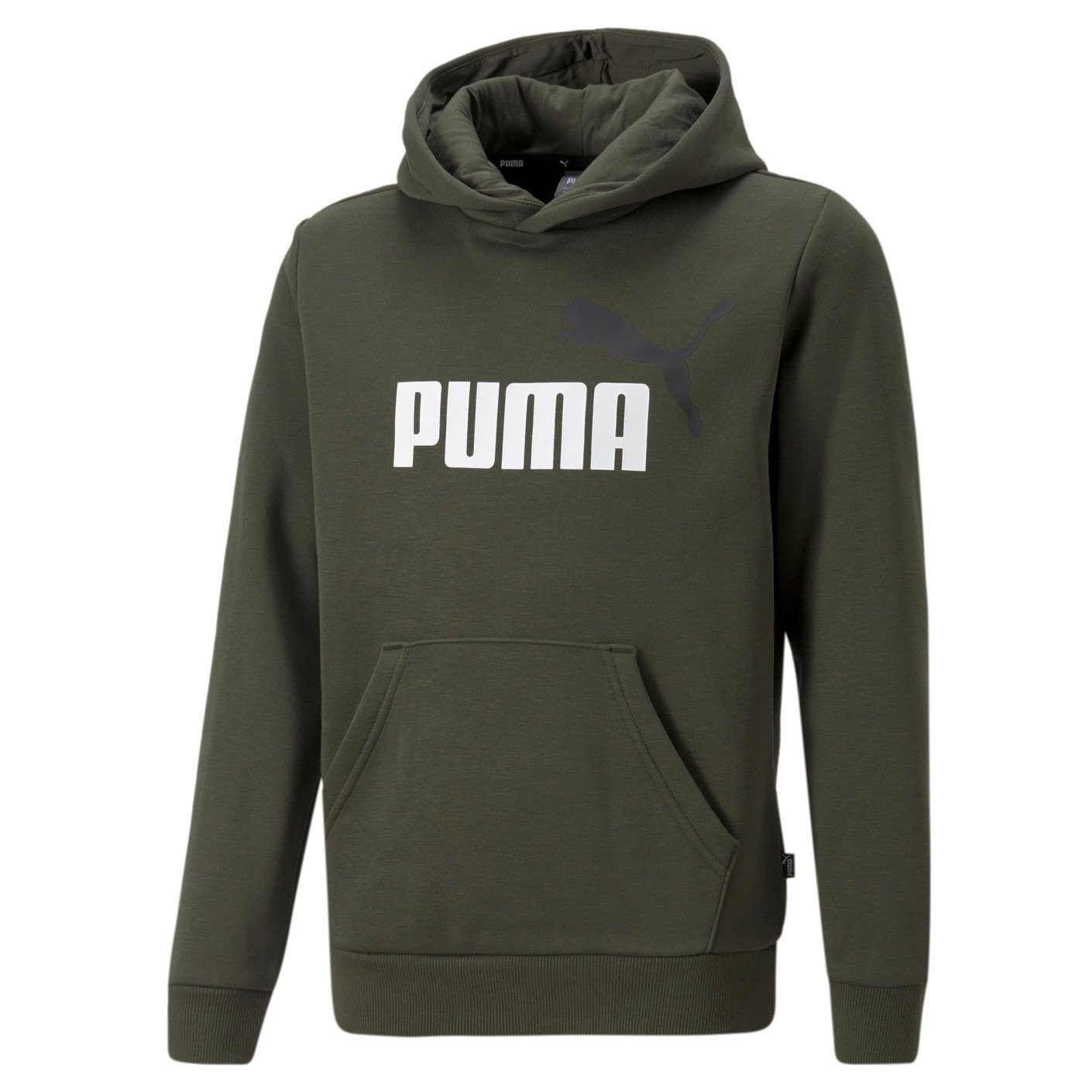 PUMA Essentials+ 2 College Big Logo Fleece Hoodie Kids Donkergroen Wit