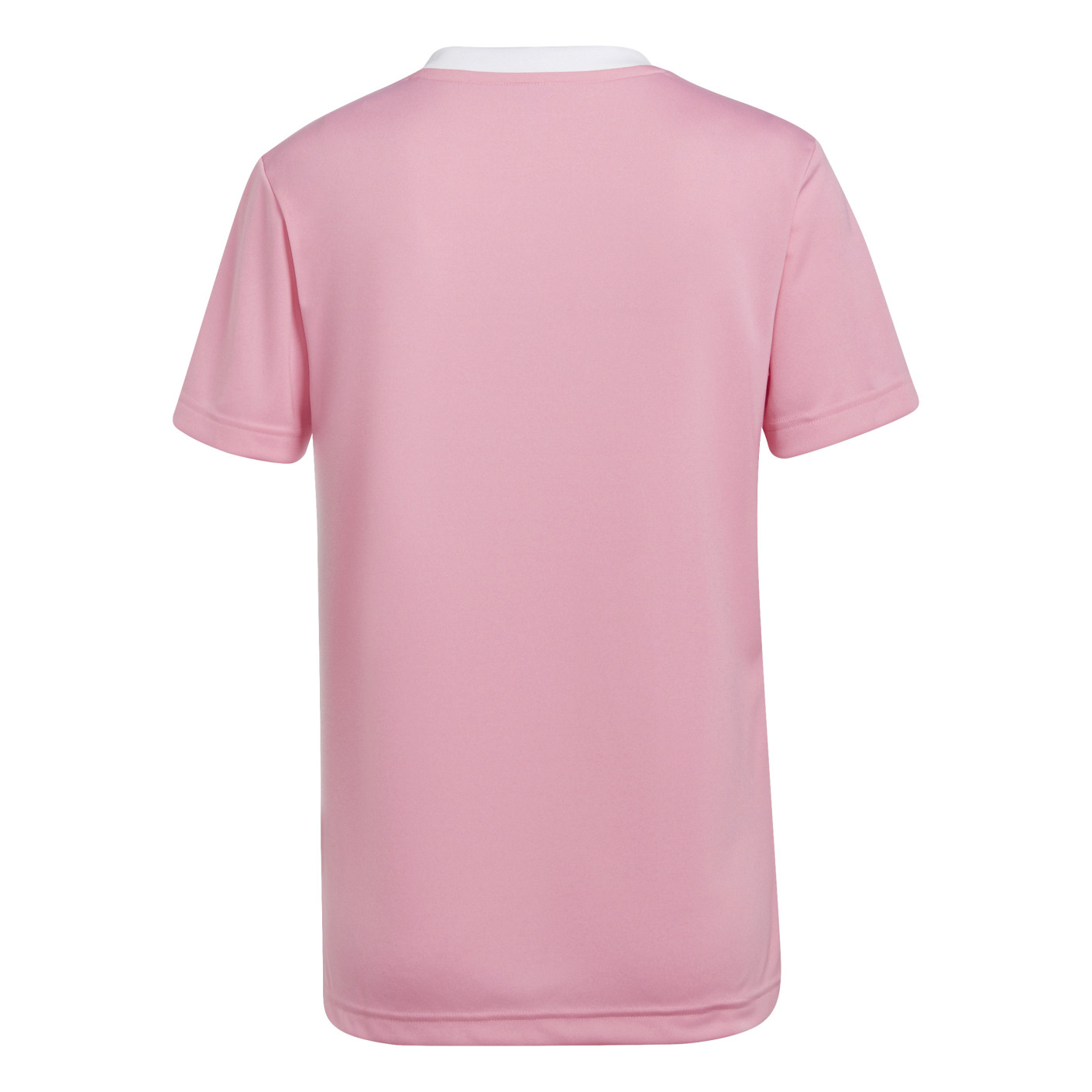 adidas Entrada 22 Voetbalshirt Dames Roze Wit