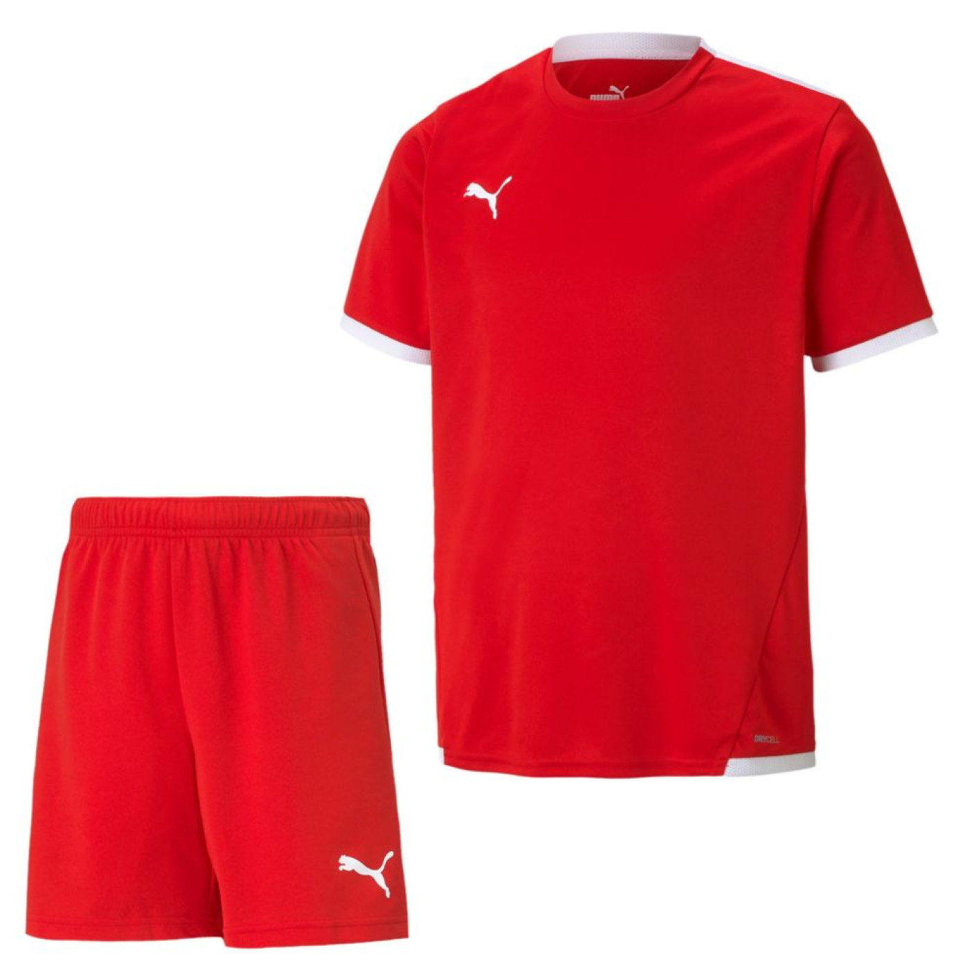 PUMA TeamLiga Training Set Kids Red White