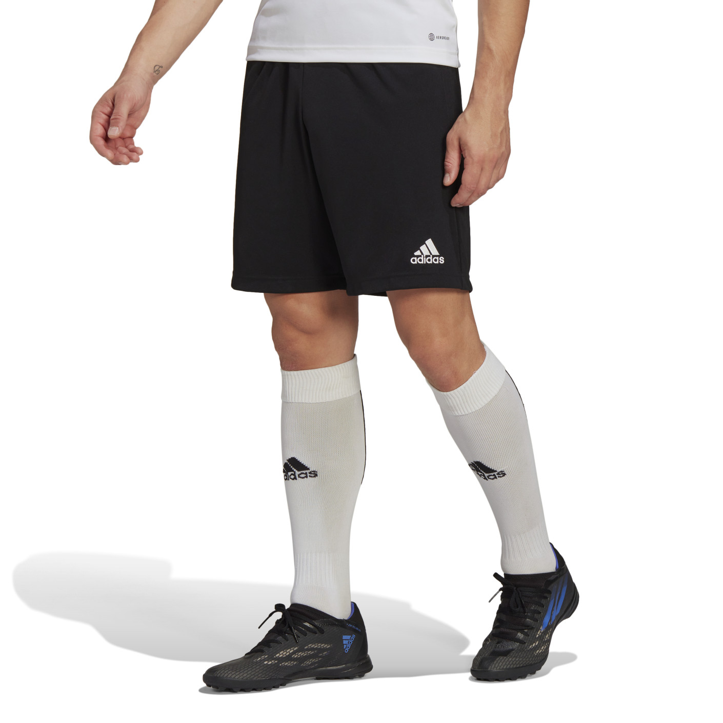adidas Entrada 22 Training Short Black White