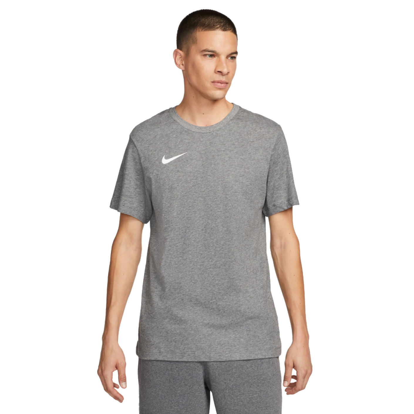 Nike Dry Park 20 T-Shirt Dri-FIT Grijs