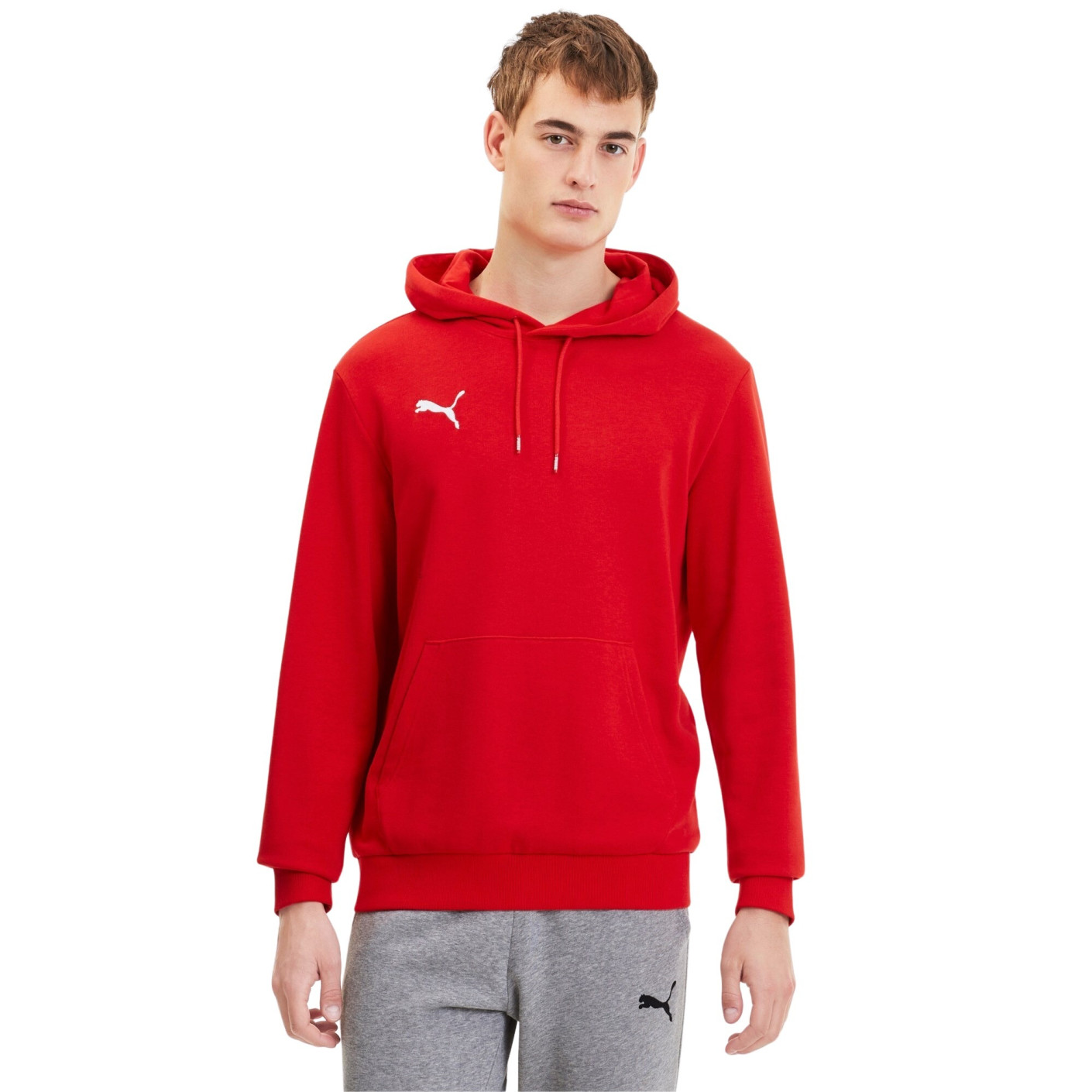 PUMA TeamGOAL 23 Casuals Hoodie Rood