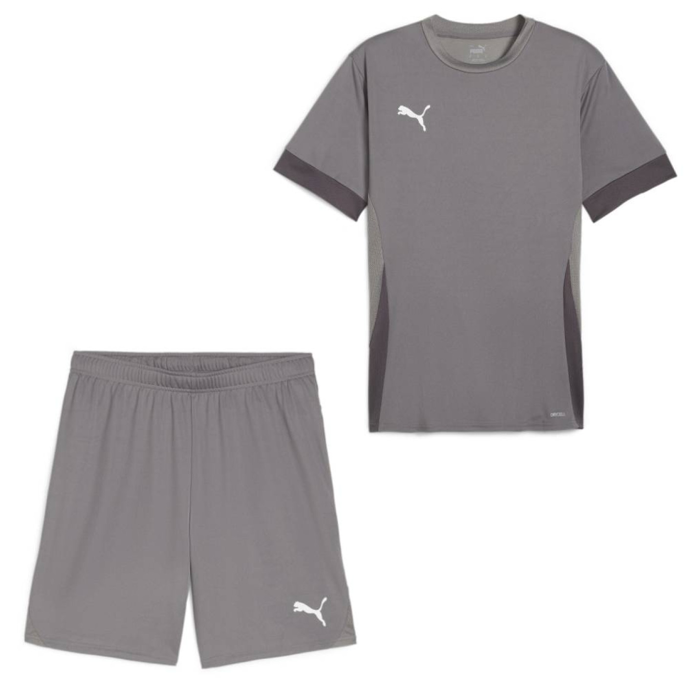 PUMA TeamGoal Matchday Football Kit Grey White