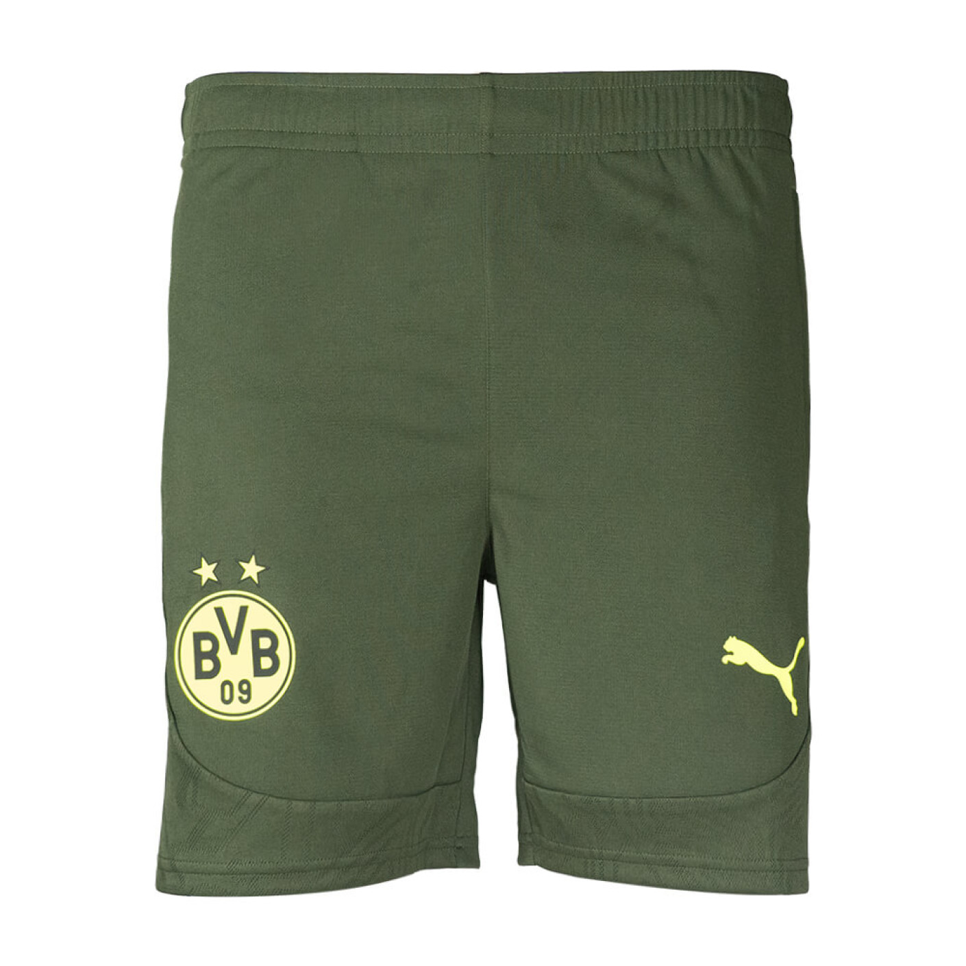 PUMA Borussia Dortmund Training Short 2024-2025 Green Yellow