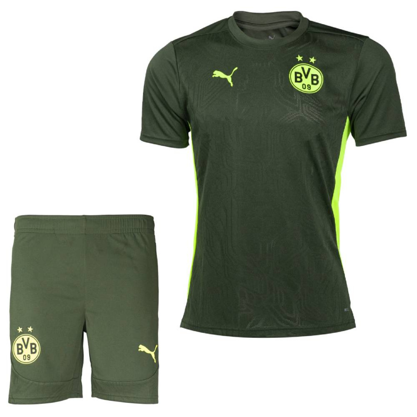 PUMA Borussia Dortmund Training Set 2024-2025 Green Yellow