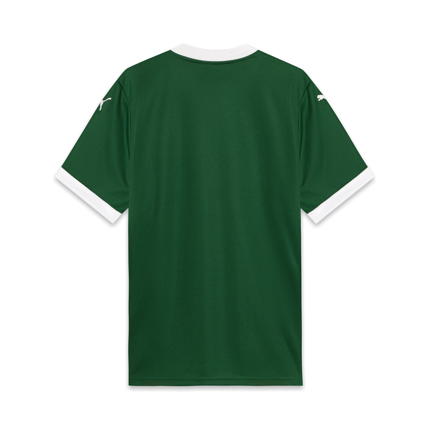 PUMA SE Palmeiras 2025-2026 Home Shirt - Voetbalshop.nl