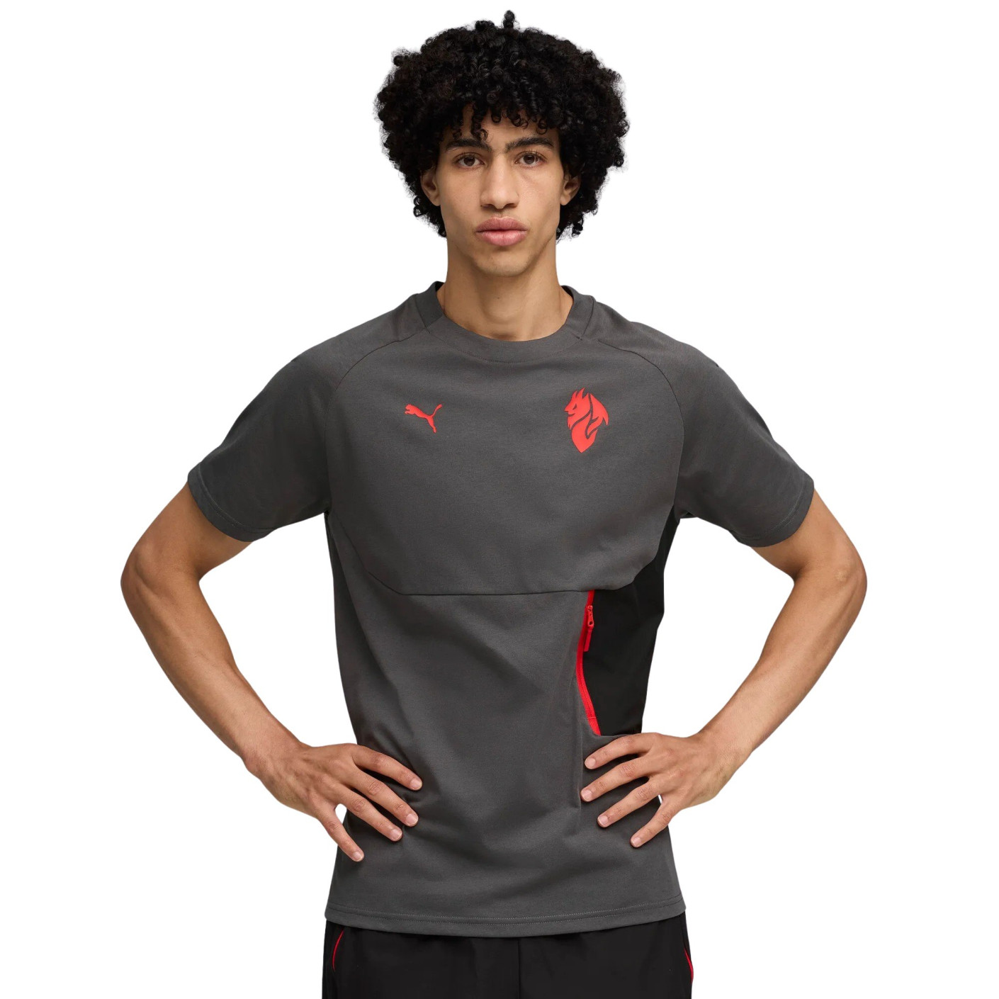 PUMA AC Milan Pumatech T-Shirt 2025-2026 Grey Red Black