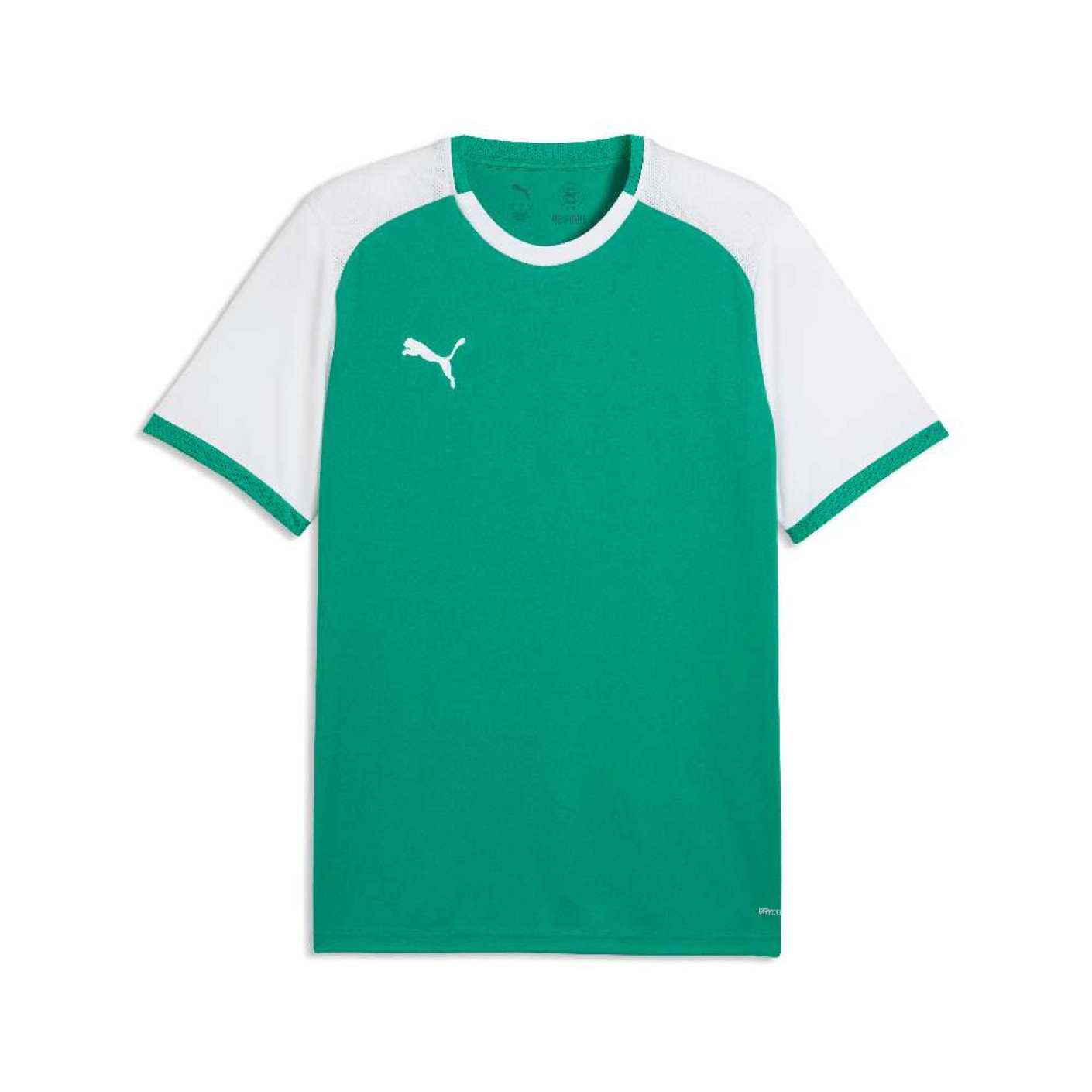 PUMA TeamLiga26 Matchday Football Shirt Green White