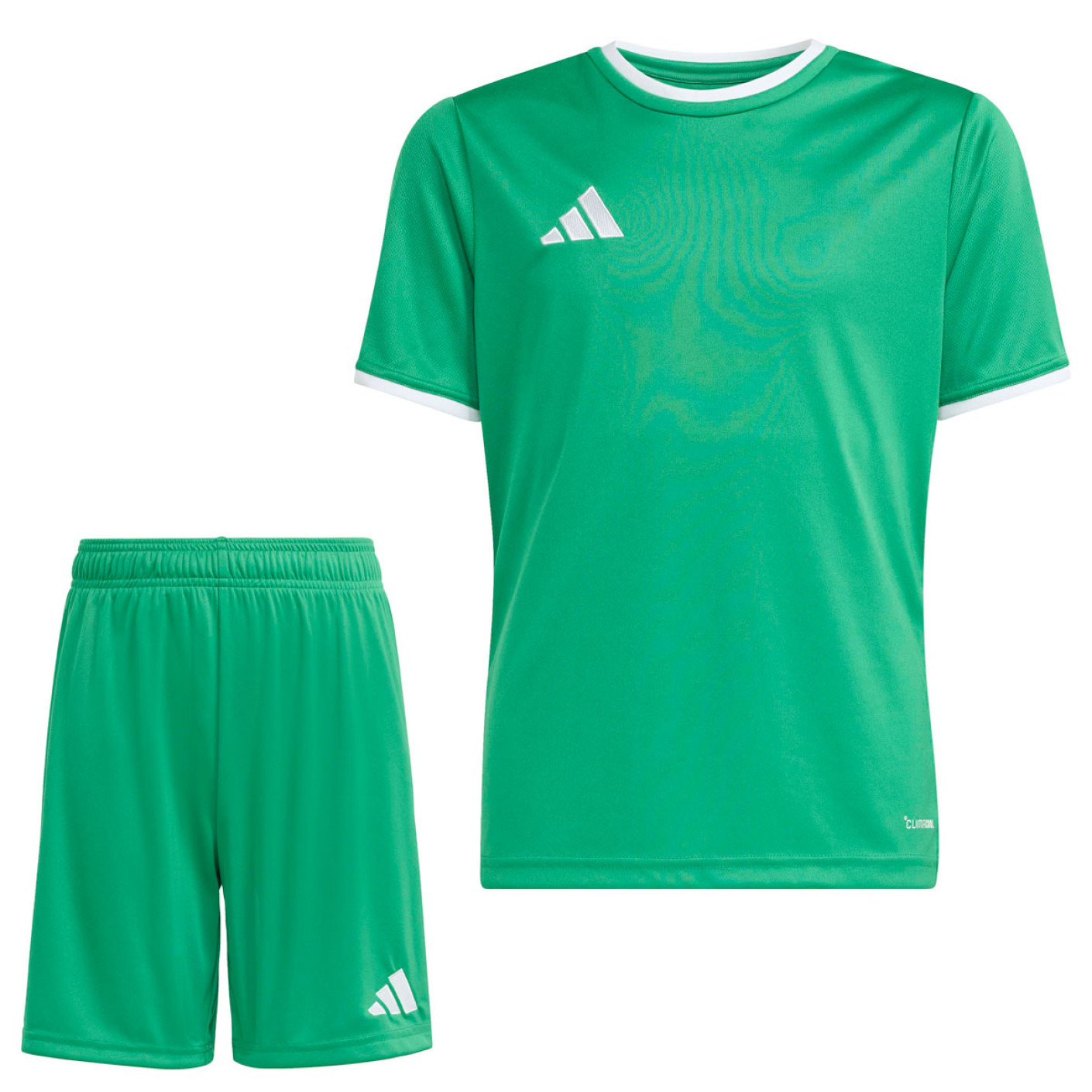 adidas Entrada 26 Voetbaltenue Kids Groen Wit