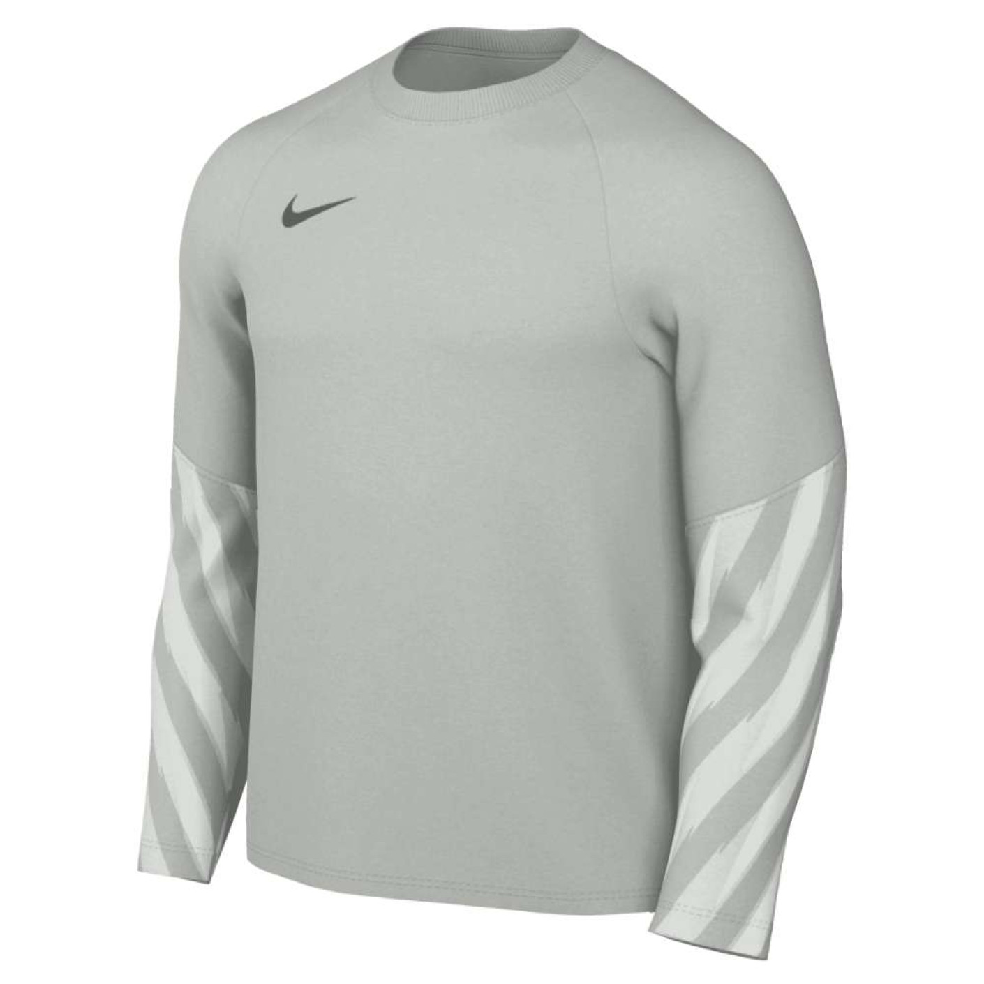 Nike Dri-FIT Park Goalkeeper V Keepersshirt Lange Mouwen Kids Lichtgrijs Zwart