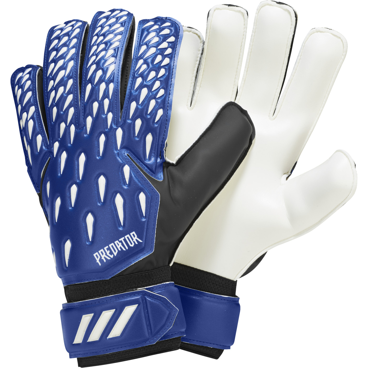 adidas Predator Training Keepershandschoenen Blauw Wit Zwart