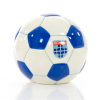 PEC Zwolle Spaarpot