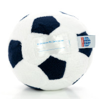 PEC Zwolle Pluchebal