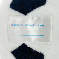PEC Zwolle Pluchebal