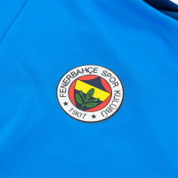 PUMA Fenerbahce 1/4 Zip Trainingstrui 2021-2022 Blauw