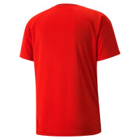 PUMA teamVISION Voetbalshirt Rood Wit
