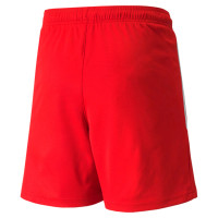PUMA TeamLiga Kids Football Shorts Red White