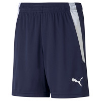 PUMA TeamLiga Kids Football Shorts Dark Blue White