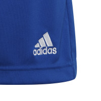adidas Entrada 22 Kids Football Shorts Blue White