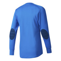 adidas ASSITA 17 Keepersshirt Blauw Wit