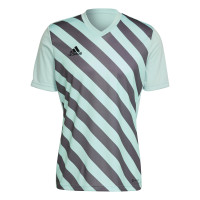 adidas Entrada 22 Graphic Football Shirt Light Green Grey
