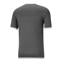 PUMA teamLIGA Voetbalshirt Grijs Wit