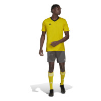 adidas Entrada 22 Voetbalshirt Geel Zwart
