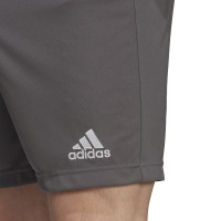 adidas Entrada 22 Voetbalbroekje Grijs Wit