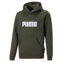 PUMA Essentials+ 2 College Big Logo Fleece Hoodie Kids Donkergroen Wit