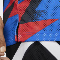 Nike Paris Saint Germain Jordan Shirt 2019-2020 Blauw