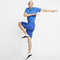 Nike Dri-FIT Park VII Voetbalshirt Blauw