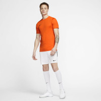 Nike Dry Park 20 Voetbalshirt Oranje
