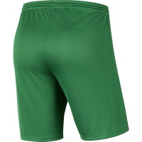 Nike Dri-FIT Park III Football Shorts Green