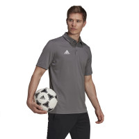 adidas Entrada 22 Polo Grijs Wit
