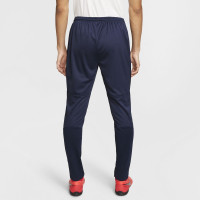 Nike Dry Park 20 Training pants Dark Blue