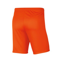 VV Kamerik Keepersshort Junior